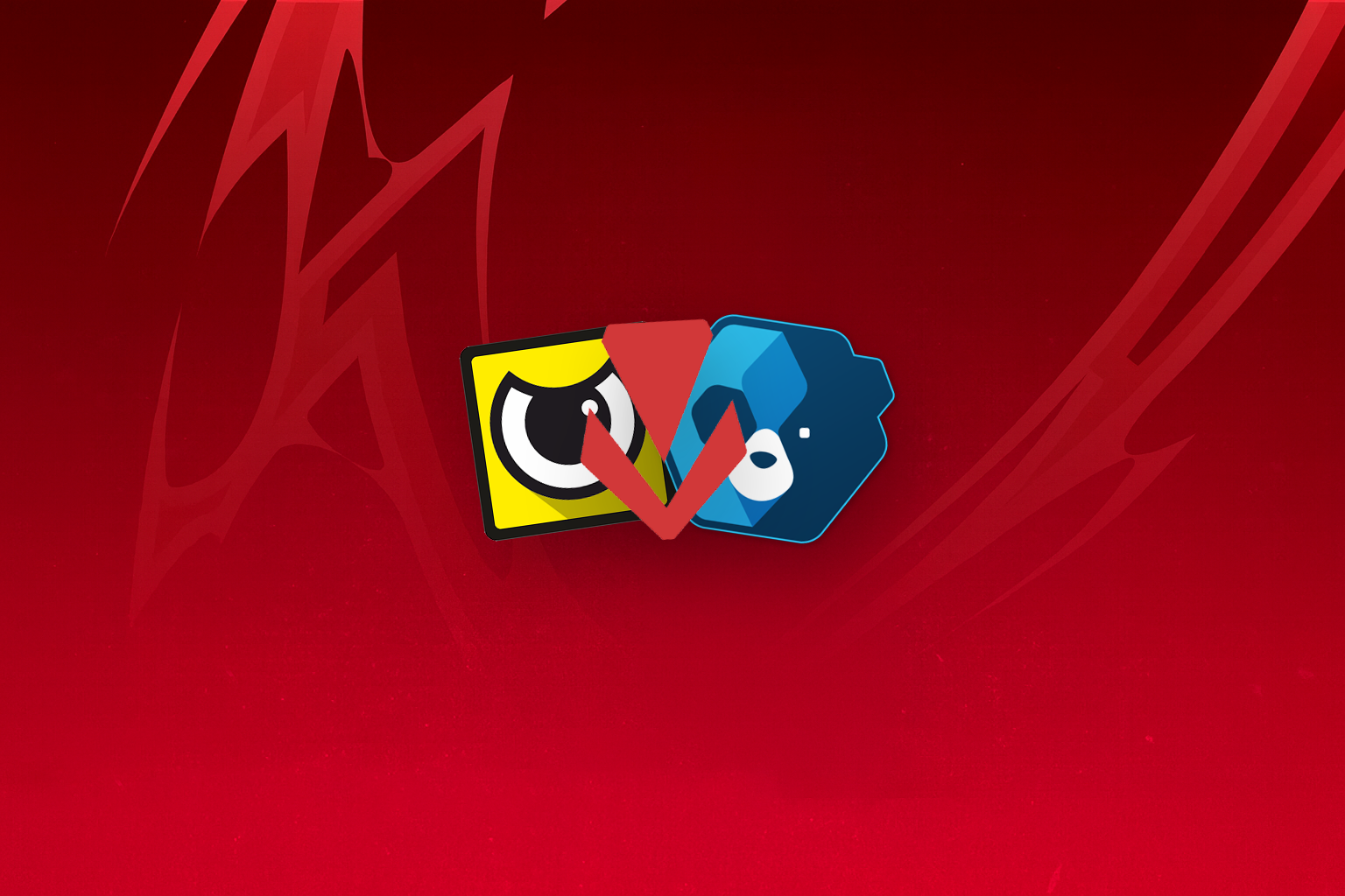 Custom DMA Firmware Guide